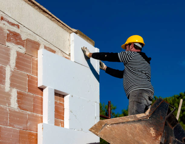 Best Insulation Inspection Services  in Gray Summit, MO