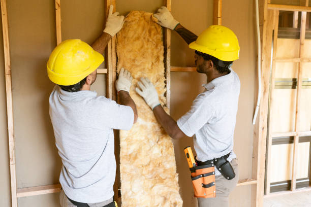 Best Home Insulation Services  in Gray Summit, MO